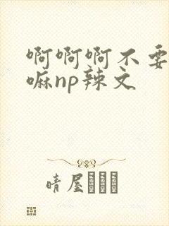 啊啊啊不要不要嘛np辣文
