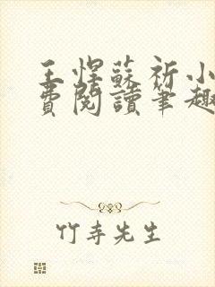 王悍苏祈小说免费阅读笔趣阁最新