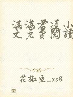 满满君凌小说全文免费阅读