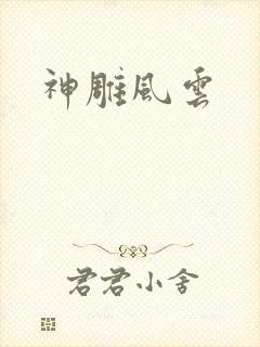 神雕风云封面