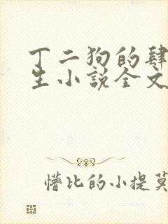 丁二狗的肆意人生小说全文阅读