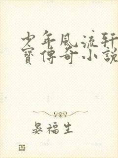 少年风流轩辕大宝传奇小说