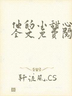 他的小甜心小说全文免费阅读