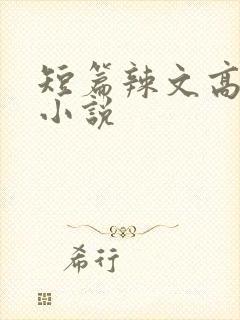 短篇辣文高h文小说