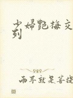 少妇艳梅交换系列封面