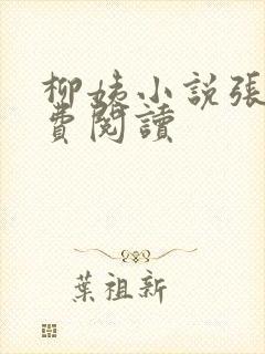 柳姨小说张浩免费阅读