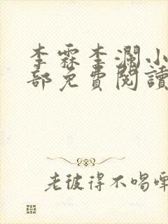 李霖李澜小说全部免费阅读