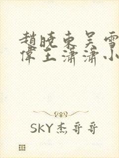 赵晓东吴雪晴郑伟王潇潇小说名字