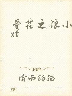 爱花之狼小说txt
