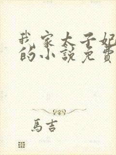 我家太子妃超凶的小说免费阅读