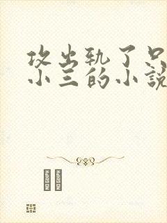 攻出轨了只爱男小三的小说