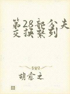 第28部分夫妇交换系列封面