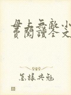 母上无敌小说免费阅读全文最新章节封面