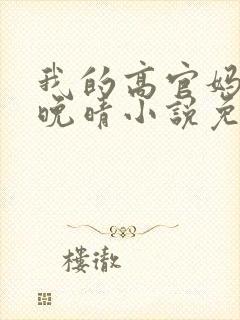 我的高官妈妈苏晚晴小说免费阅读封面