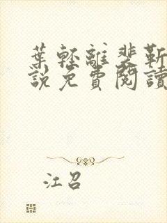 叶轻离裴靳墨小说免费阅读无弹窗
