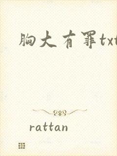 胸大有罪txt