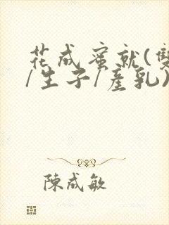 书籍封面