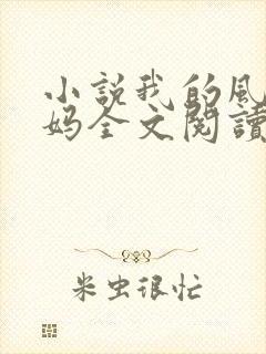 小说我的风流妈妈全文阅读封面