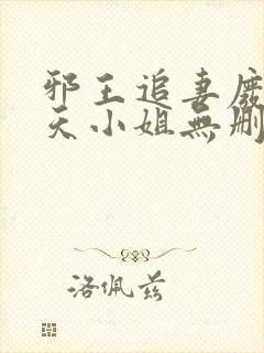 邪王追妻废材逆天小姐无删减