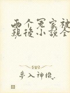 两个冤家被迫成亲后小说全文阅读