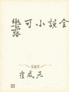 乐可小说金银花露封面