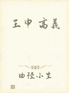王申 高义