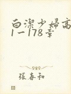 白洁少妇高义第1一178章封面