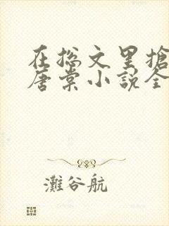 在总文里抢主角唐棠小说全文阅读