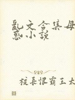 乱文合集母子诱惑小说封面