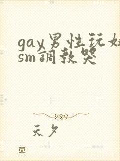 gay男性玩奴sm调教哭