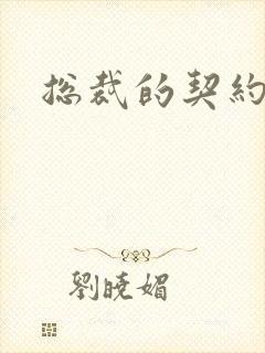 总裁的契约情人