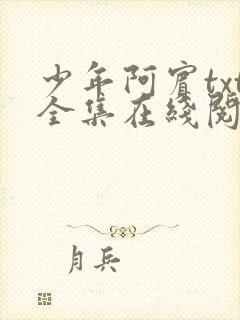 少年阿宾txt全集在线阅读
