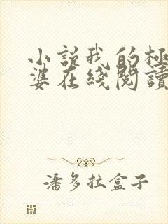 小说我的极品老婆在线阅读全文