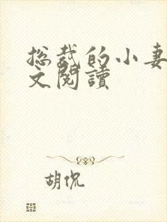 总裁的小妻子全文阅读