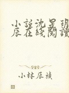 小说沈星玥裴亦辰在线阅读封面