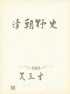 清朝野史封面