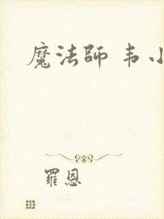 魔法师 韦小宝