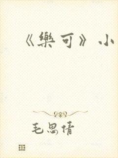 《乐可》小说封面