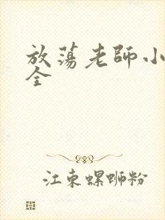 放荡老师小说大全封面