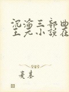 沉沦三部曲陈洁王元小说在线阅读