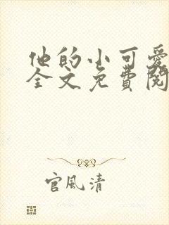 他的小可爱小说全文免费阅读