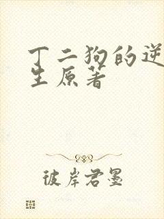 丁二狗的逆袭人生原著