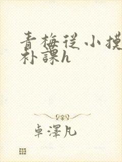 青梅从小摸到大补课h