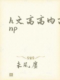 h文高高肉高辣np