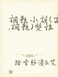 调教小说(高h,调教)双性