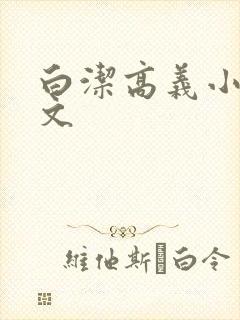 白洁高义小说全文