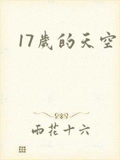 17岁的天空封面