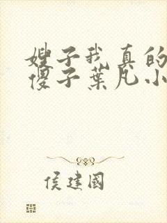 嫂子我真的不是傻子叶凡小说 原名