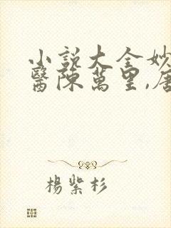 小说大全妙手龙医陈万里,唐嫣然
