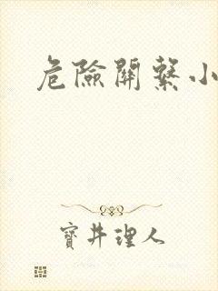 危险关系小说